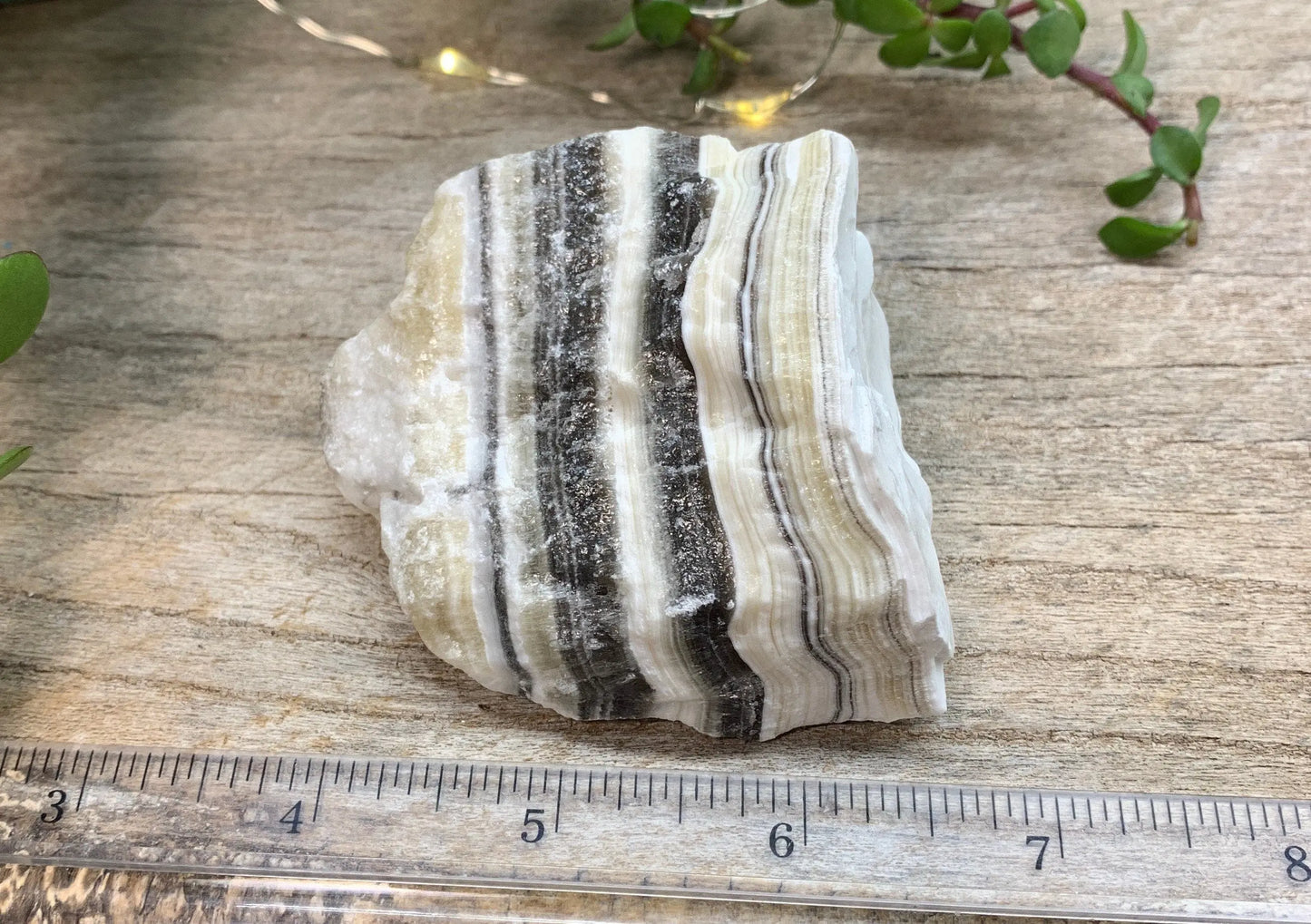 Raw Zebra Stone RAW-0327 Shop Wholesale Crystals