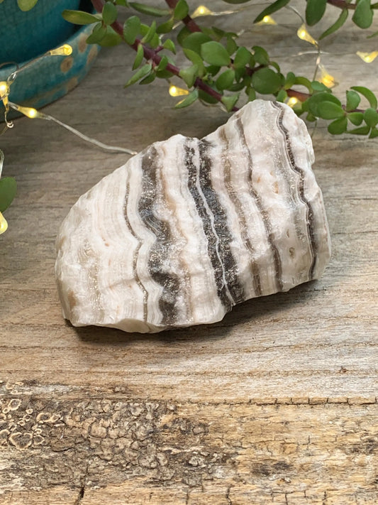 Raw Zebra Stone RAW-0315 Shop Wholesale Crystals