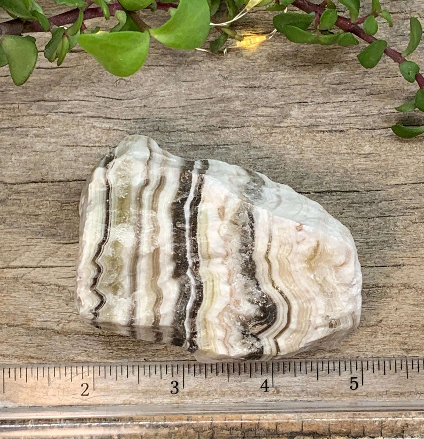 Raw Zebra Stone RAW-0315 Shop Wholesale Crystals