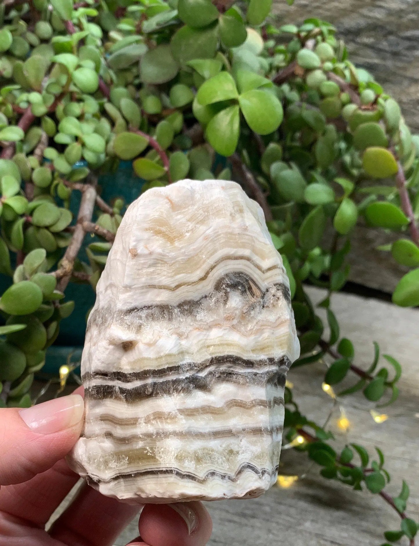 Raw Zebra Stone RAW-0315 Shop Wholesale Crystals
