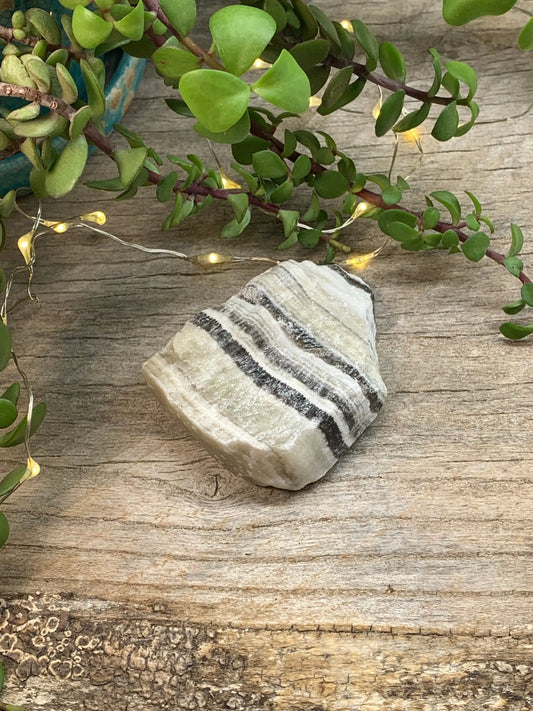 Raw Zebra Stone RAW-0299 Shop Wholesale Crystals