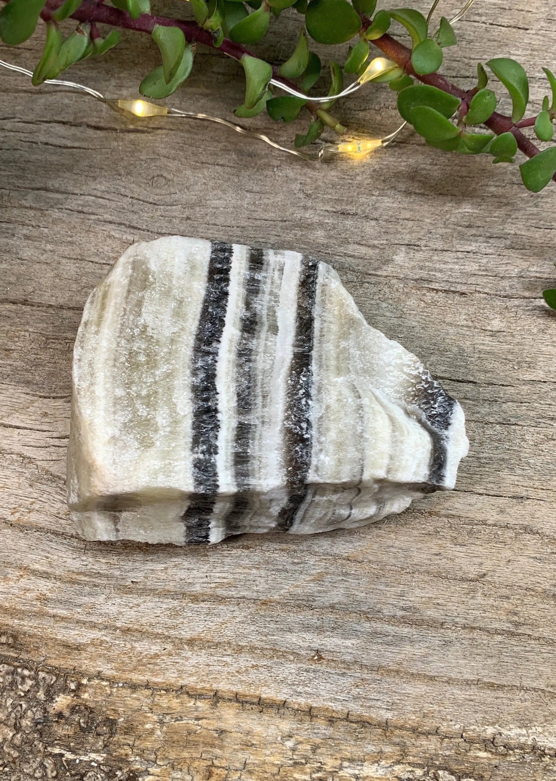 Raw Zebra Stone RAW-0299 Shop Wholesale Crystals