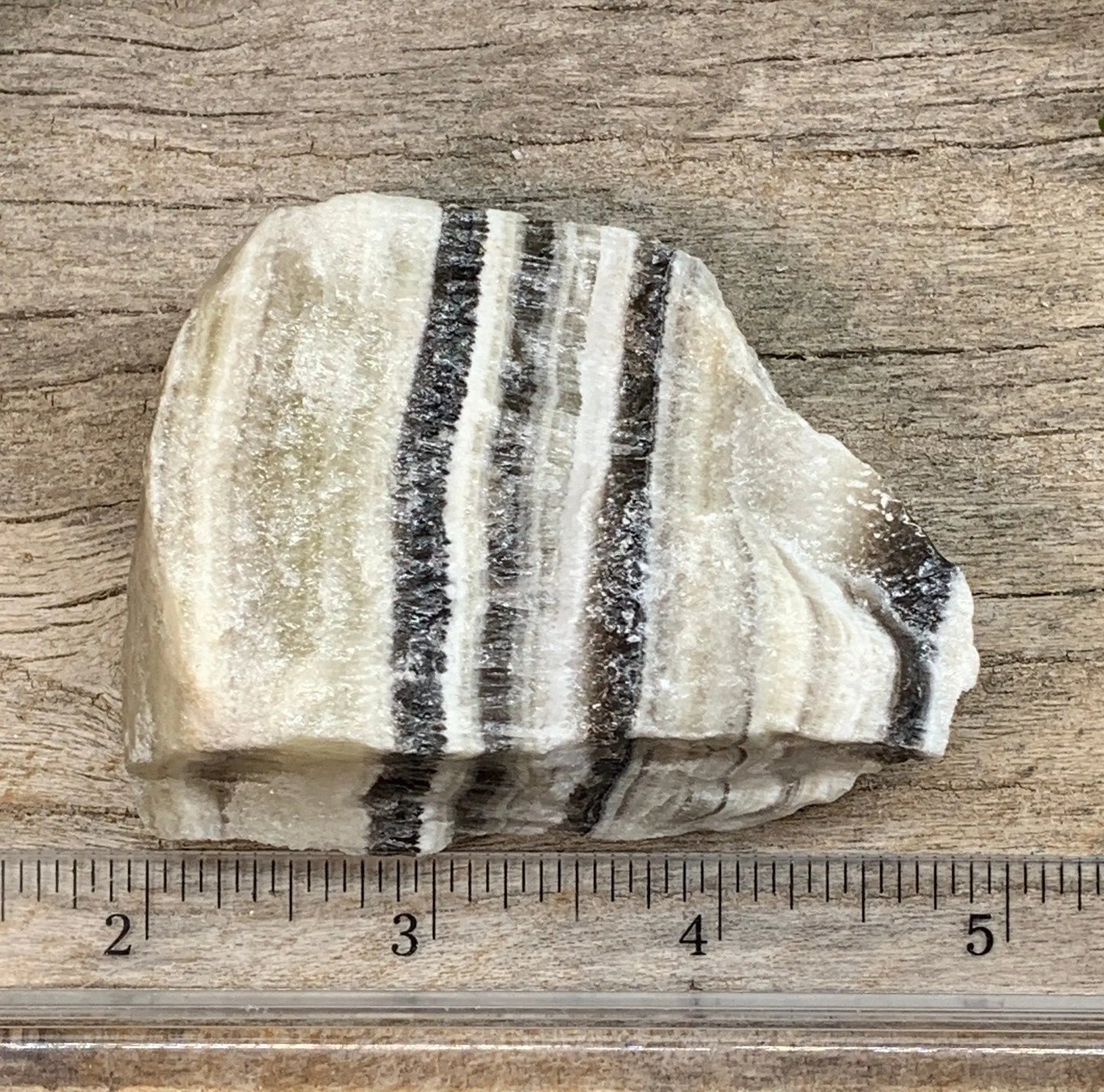 Raw Zebra Stone RAW-0299 Shop Wholesale Crystals
