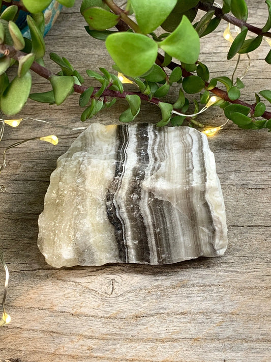 Raw Zebra Stone RAW-0306 Shop Wholesale Crystals