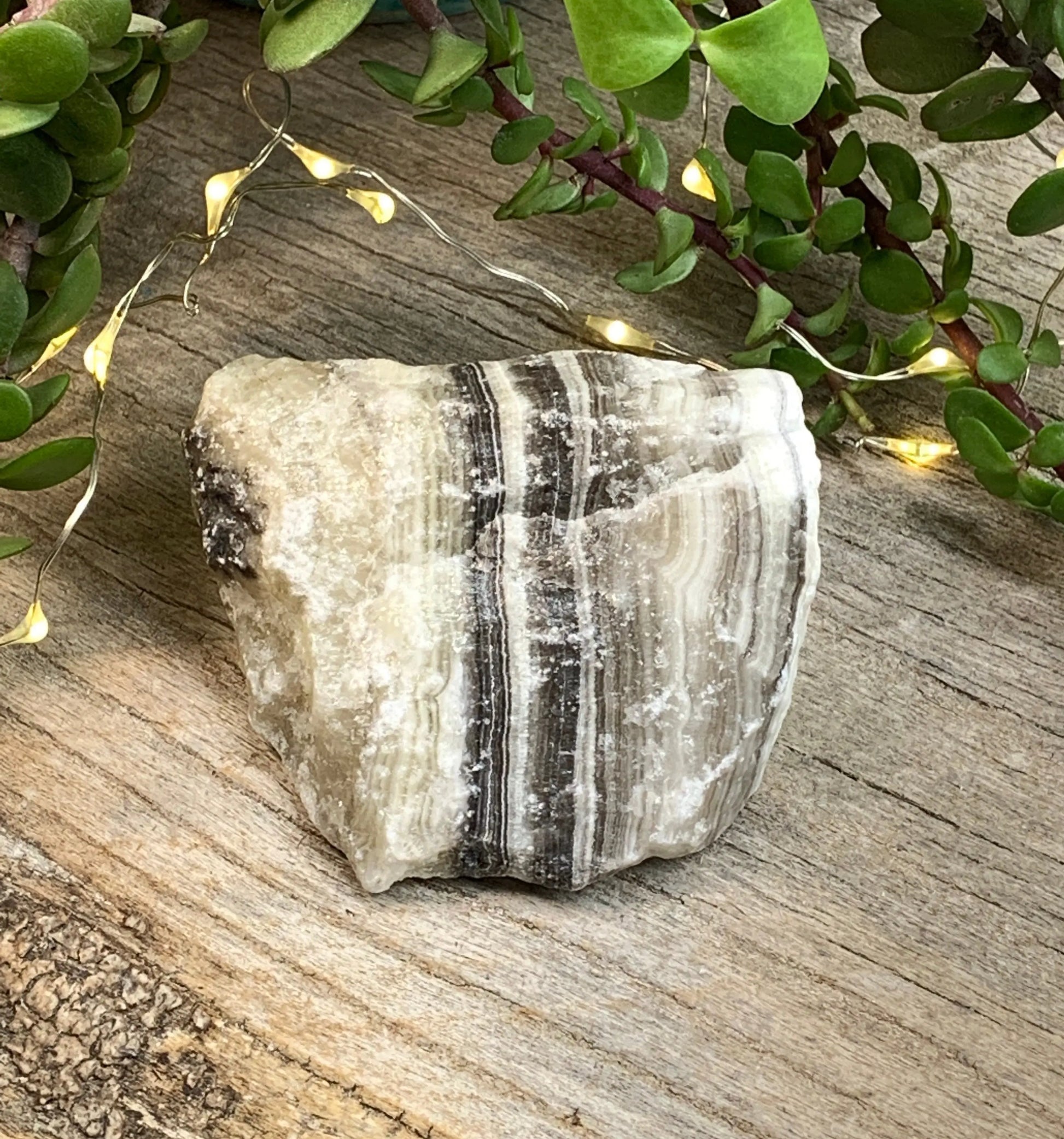 Raw Zebra Stone RAW-0306 Shop Wholesale Crystals