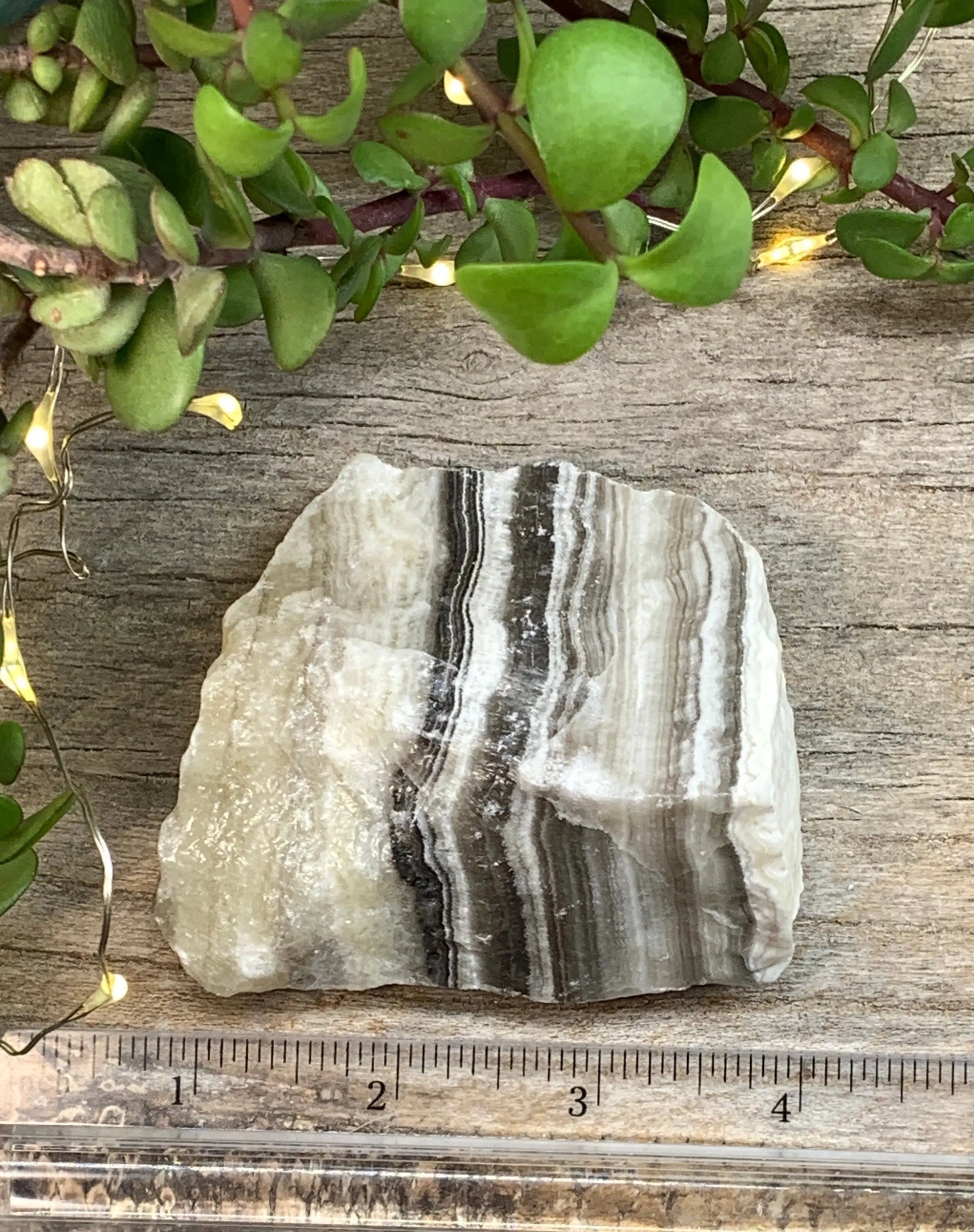 Raw Zebra Stone RAW-0306 Shop Wholesale Crystals