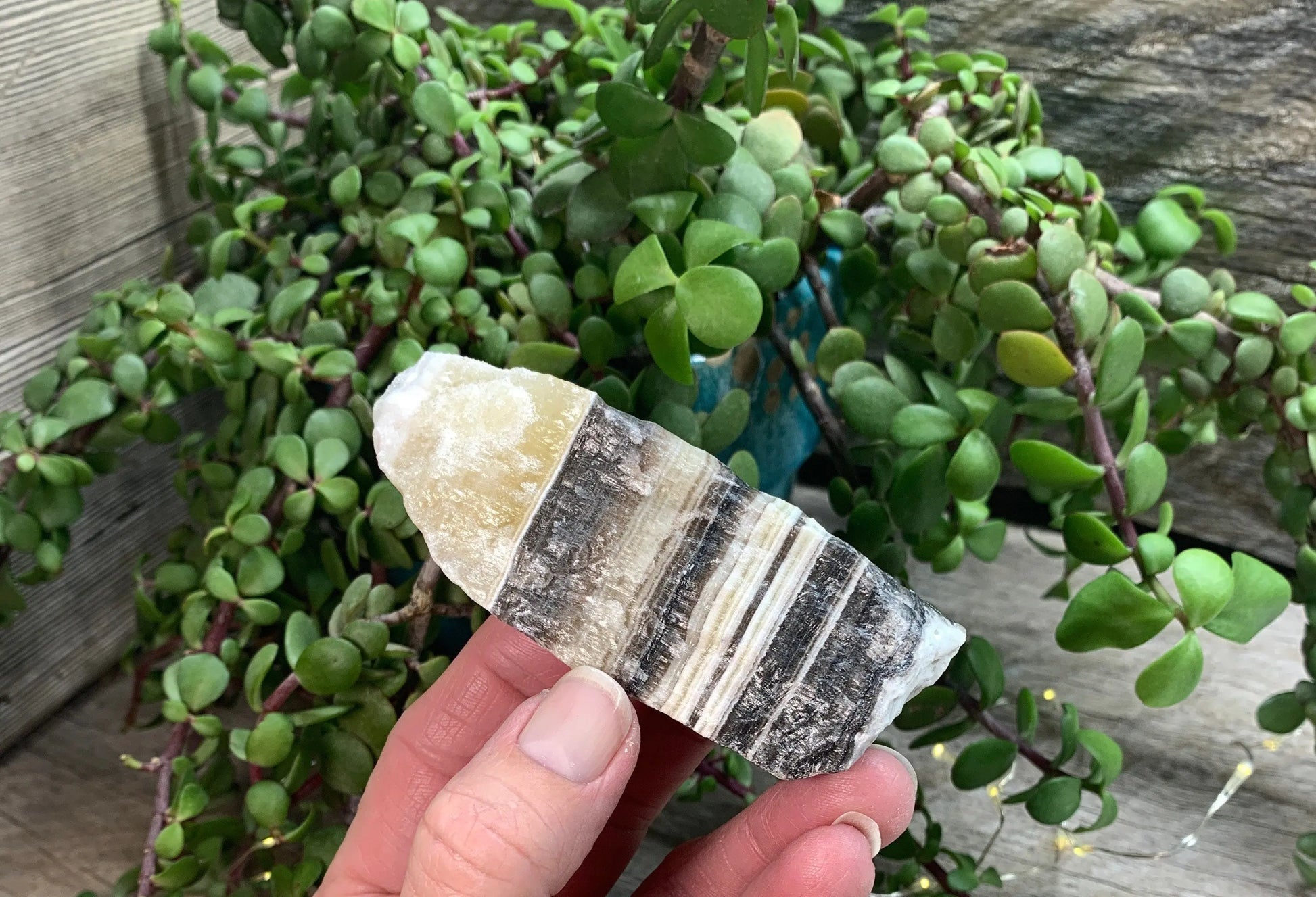 Raw Zebra Stone RAW-0293 Shop Wholesale Crystals