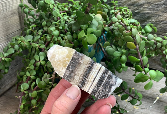 Raw Zebra Stone RAW-0293 Shop Wholesale Crystals