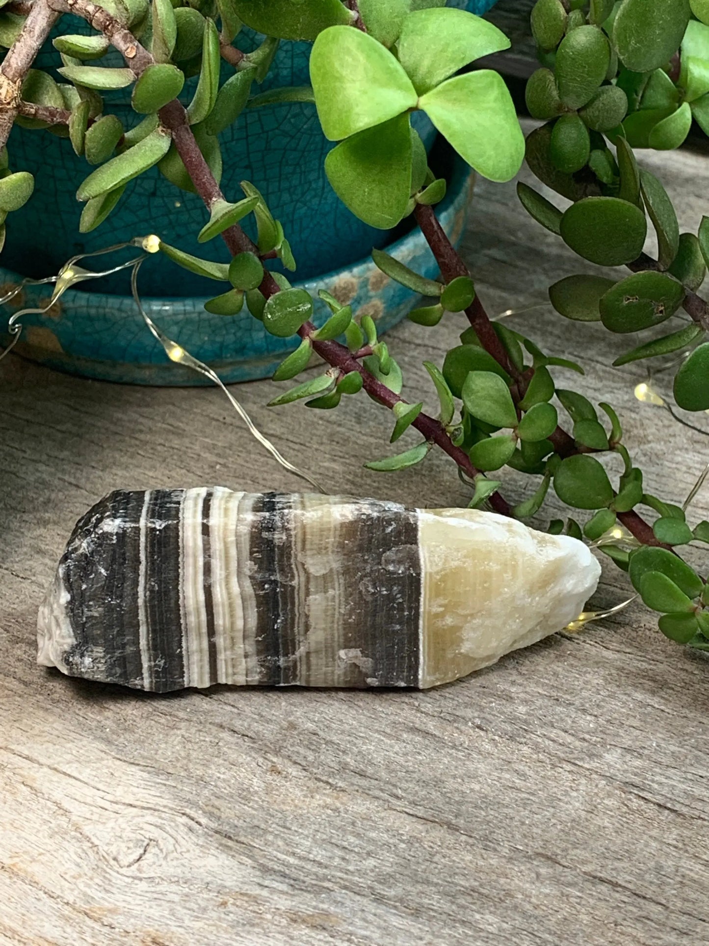 Raw Zebra Stone RAW-0293 Shop Wholesale Crystals