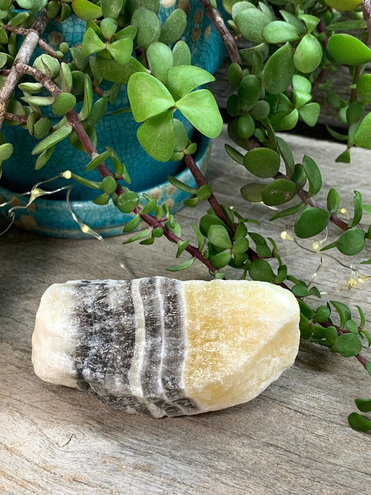 Raw Zebra Stone RAW-0292 Shop Wholesale Crystals