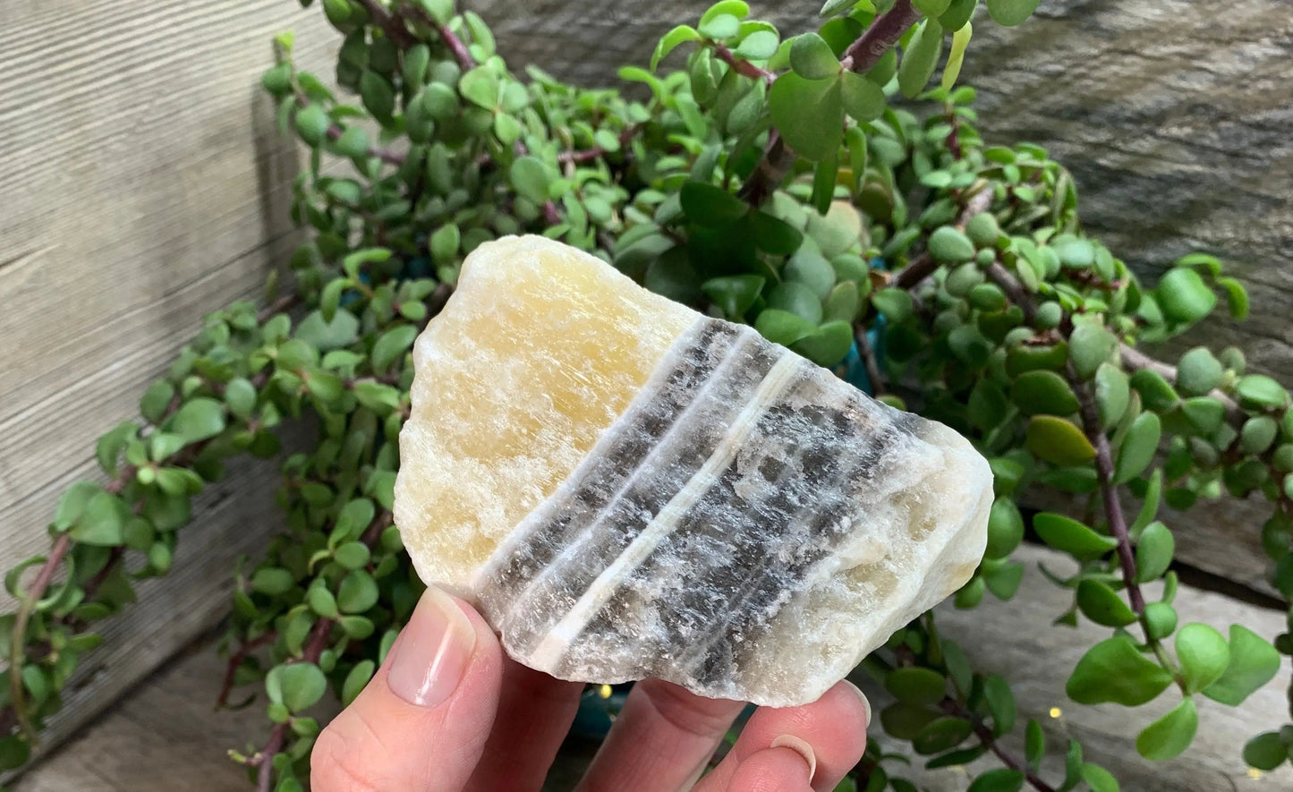 Raw Zebra Stone RAW-0292 Shop Wholesale Crystals