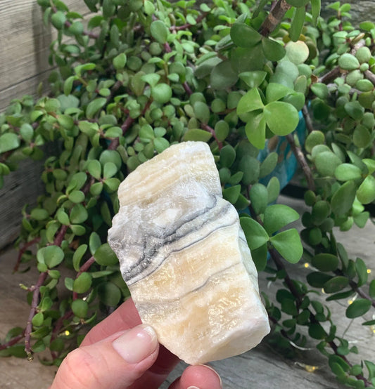 Raw Zebra Stone RAW-0288 Shop Wholesale Crystals