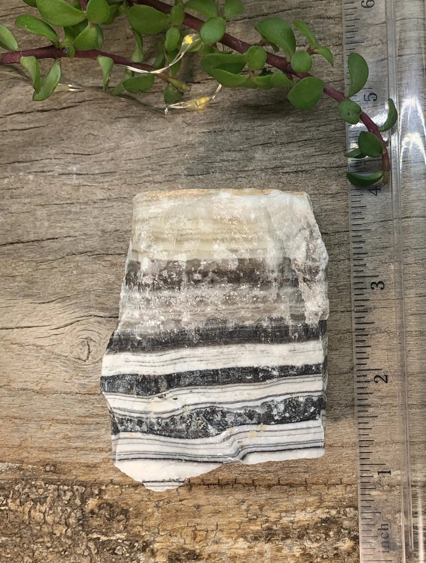 Raw Zebra Stone RAW-0284 Shop Wholesale Crystals