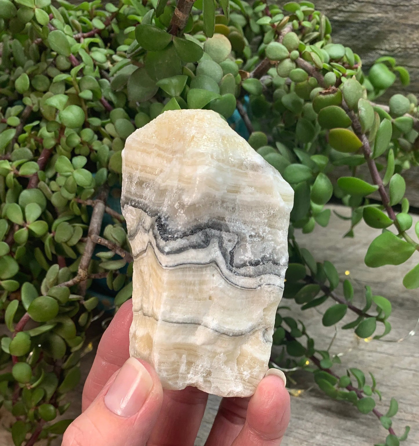 Raw Zebra Stone RAW-0283 Shop Wholesale Crystals