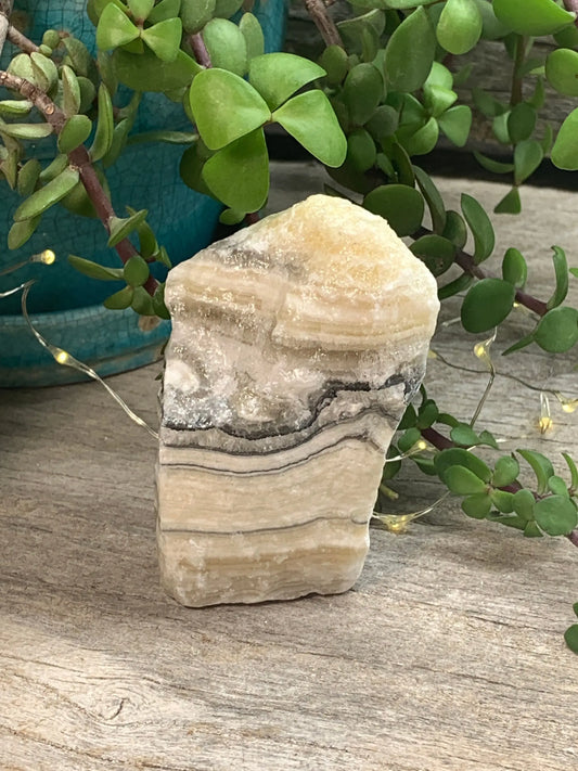 Raw Zebra Stone RAW-0283 Shop Wholesale Crystals