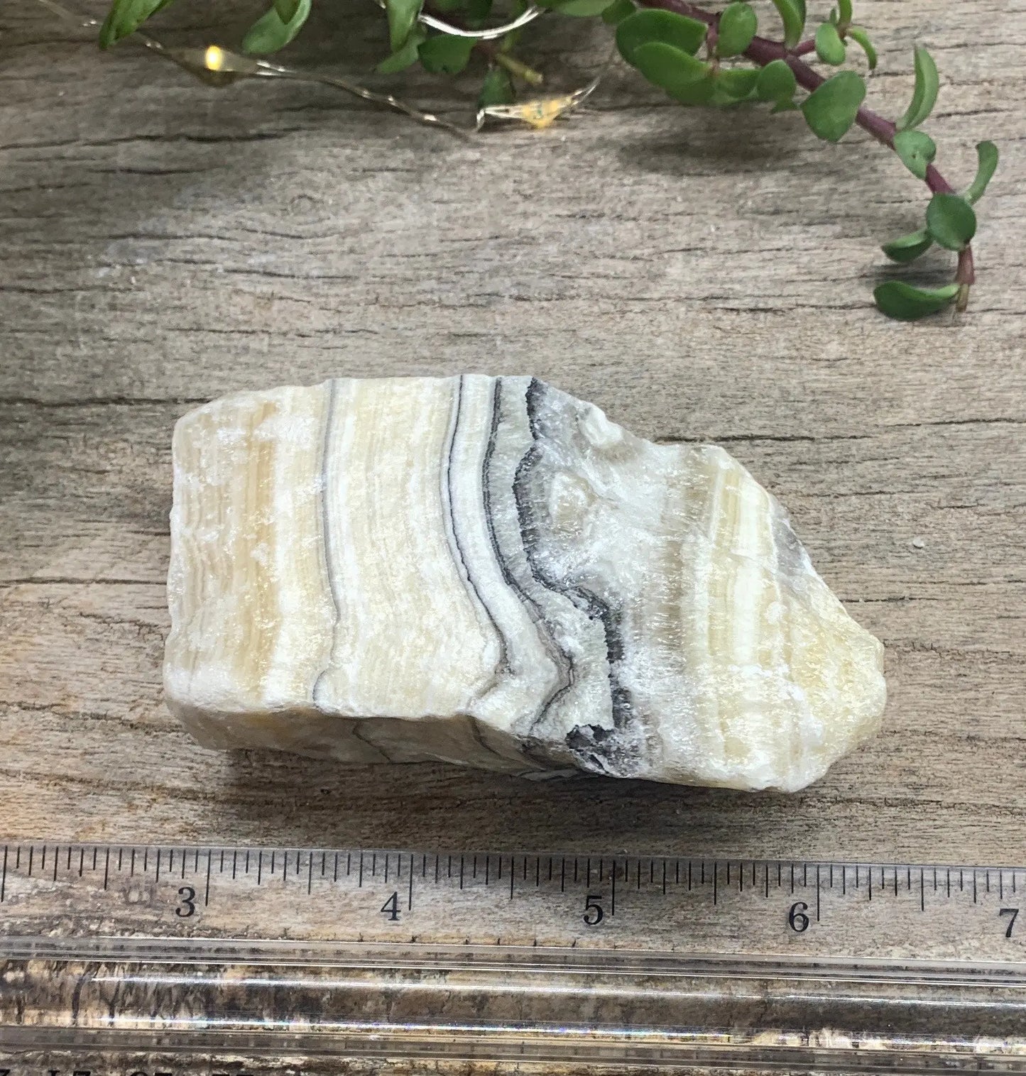 Raw Zebra Stone RAW-0283 Shop Wholesale Crystals