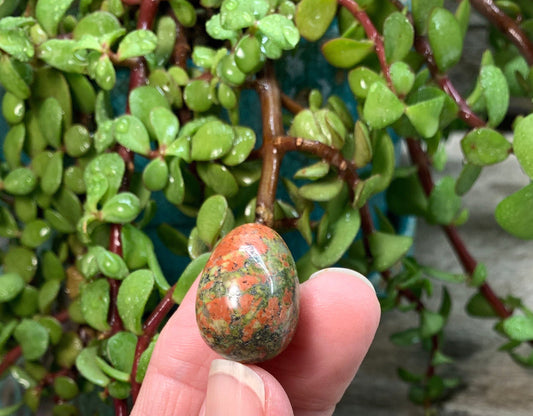 Unakite Jasper Egg 3/4” 0430