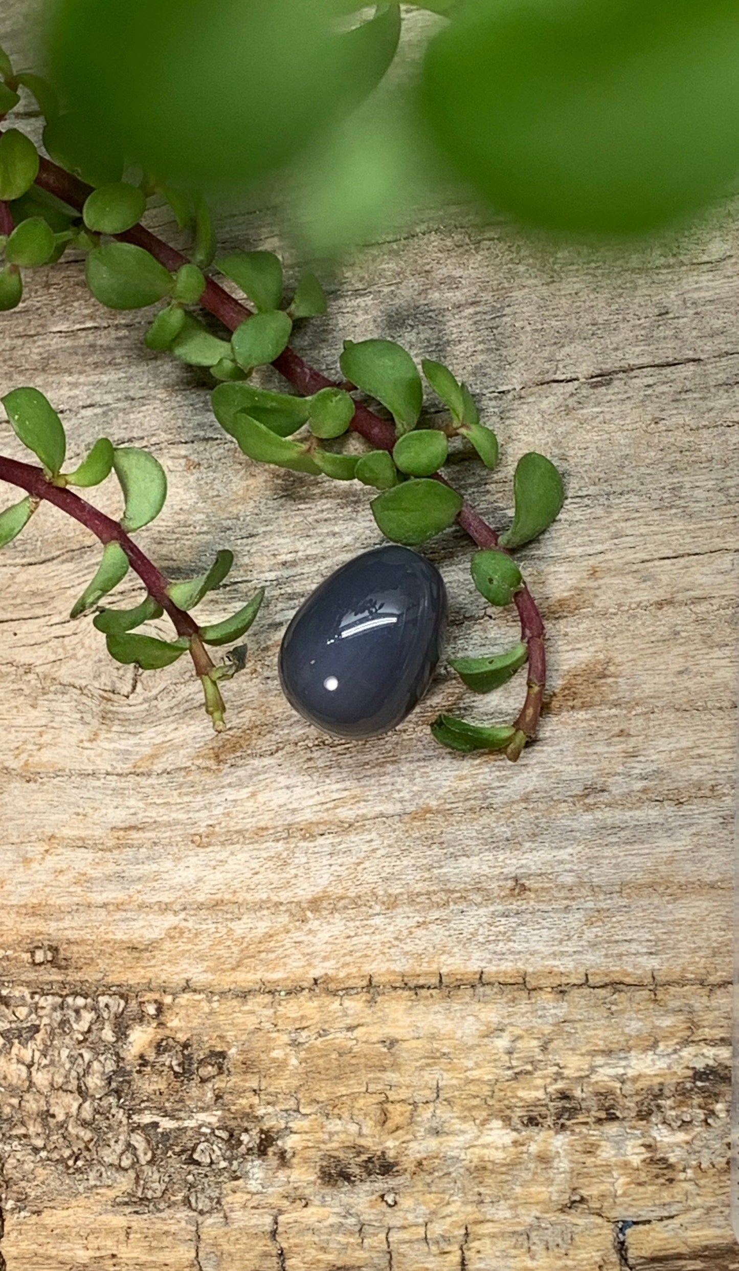 Grey Agate Egg 3/4” 1552