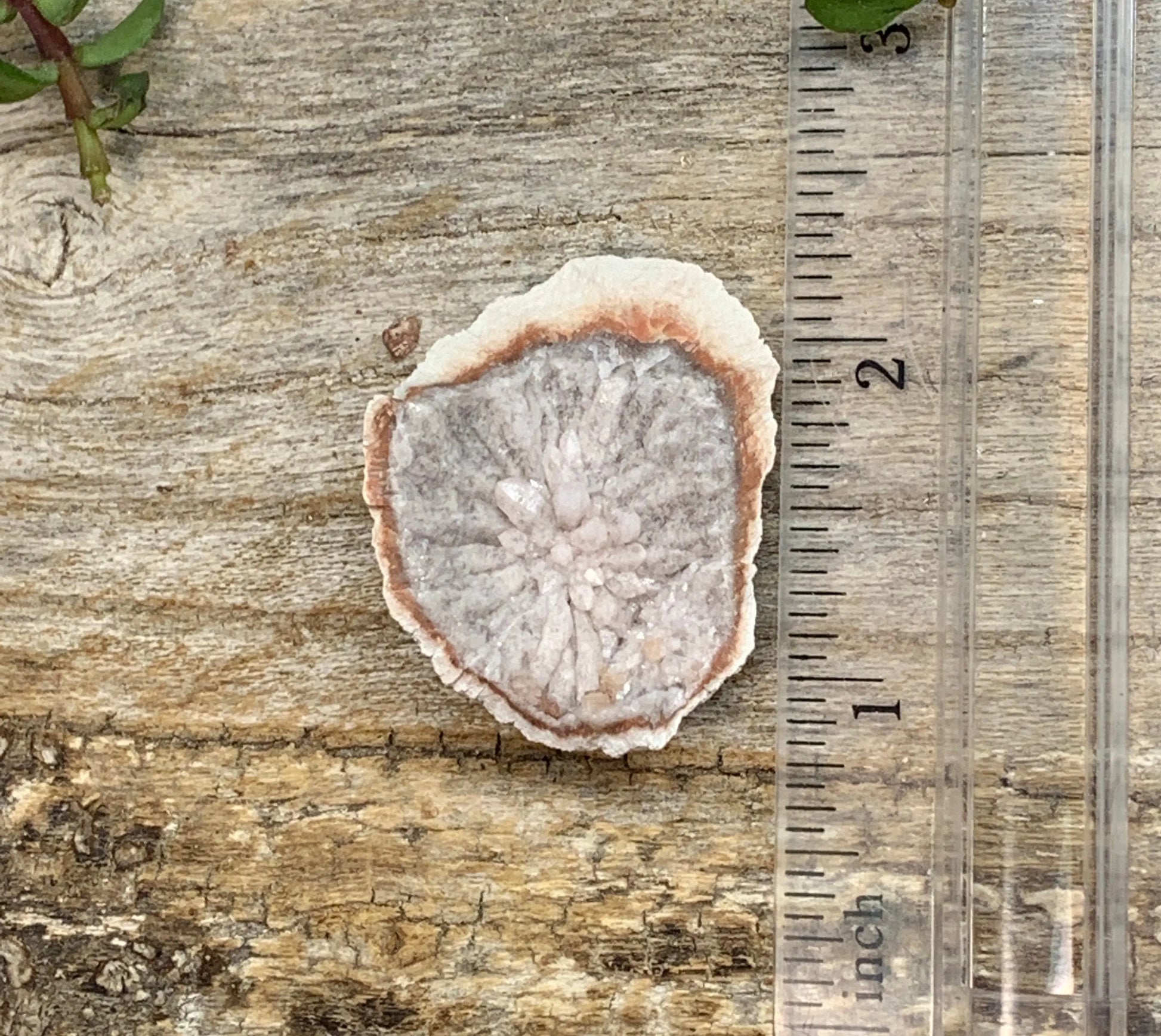 Pink Amethyst Geode  CRY-0876 Shop Wholesale Crystals