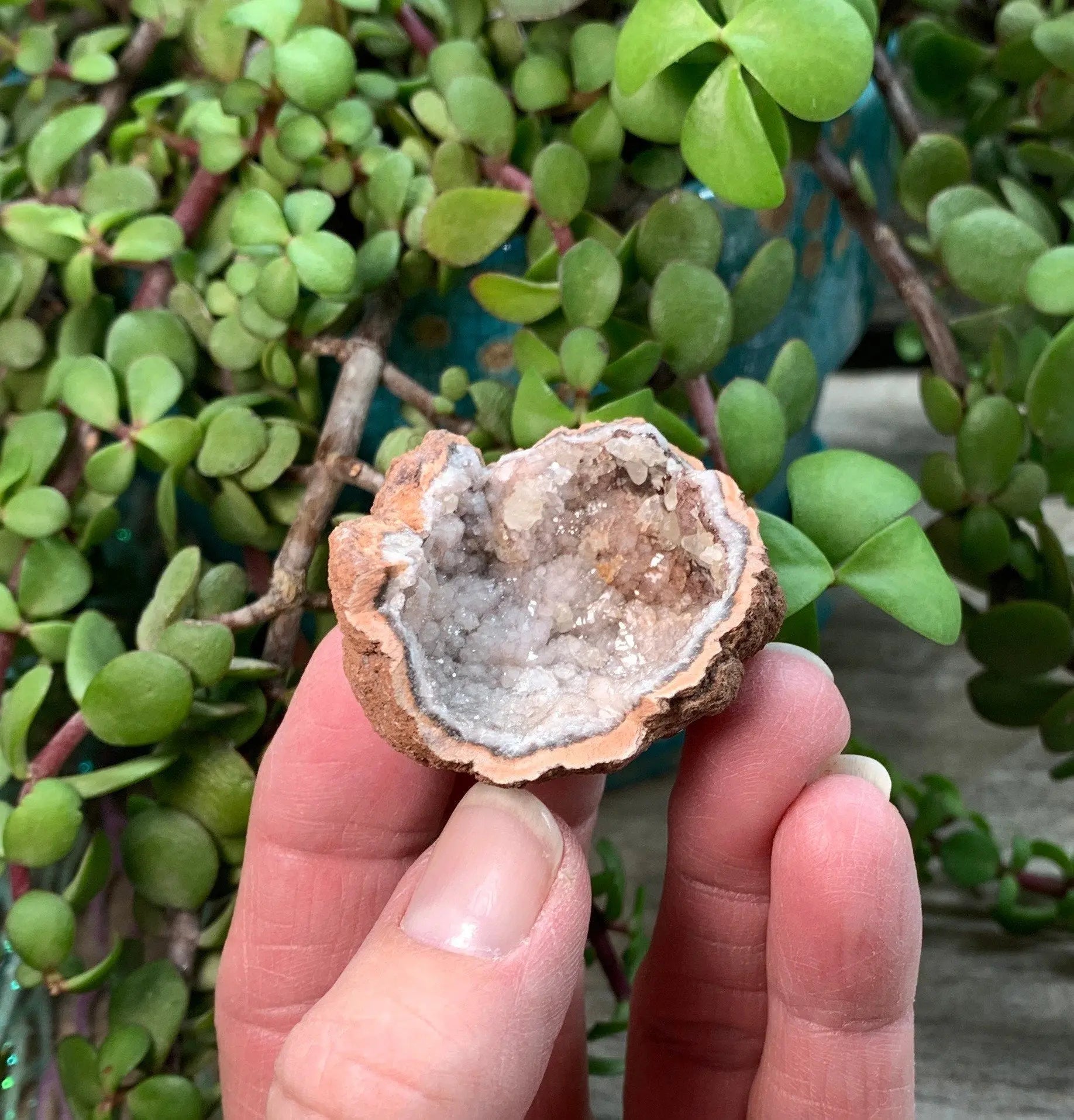 Pink Amethyst Geode  CRY-0867 Shop Wholesale Crystals