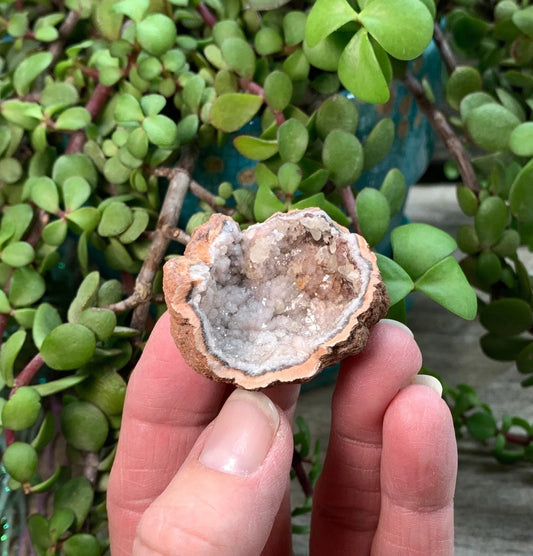 Pink Amethyst Geode  CRY-0867 Shop Wholesale Crystals