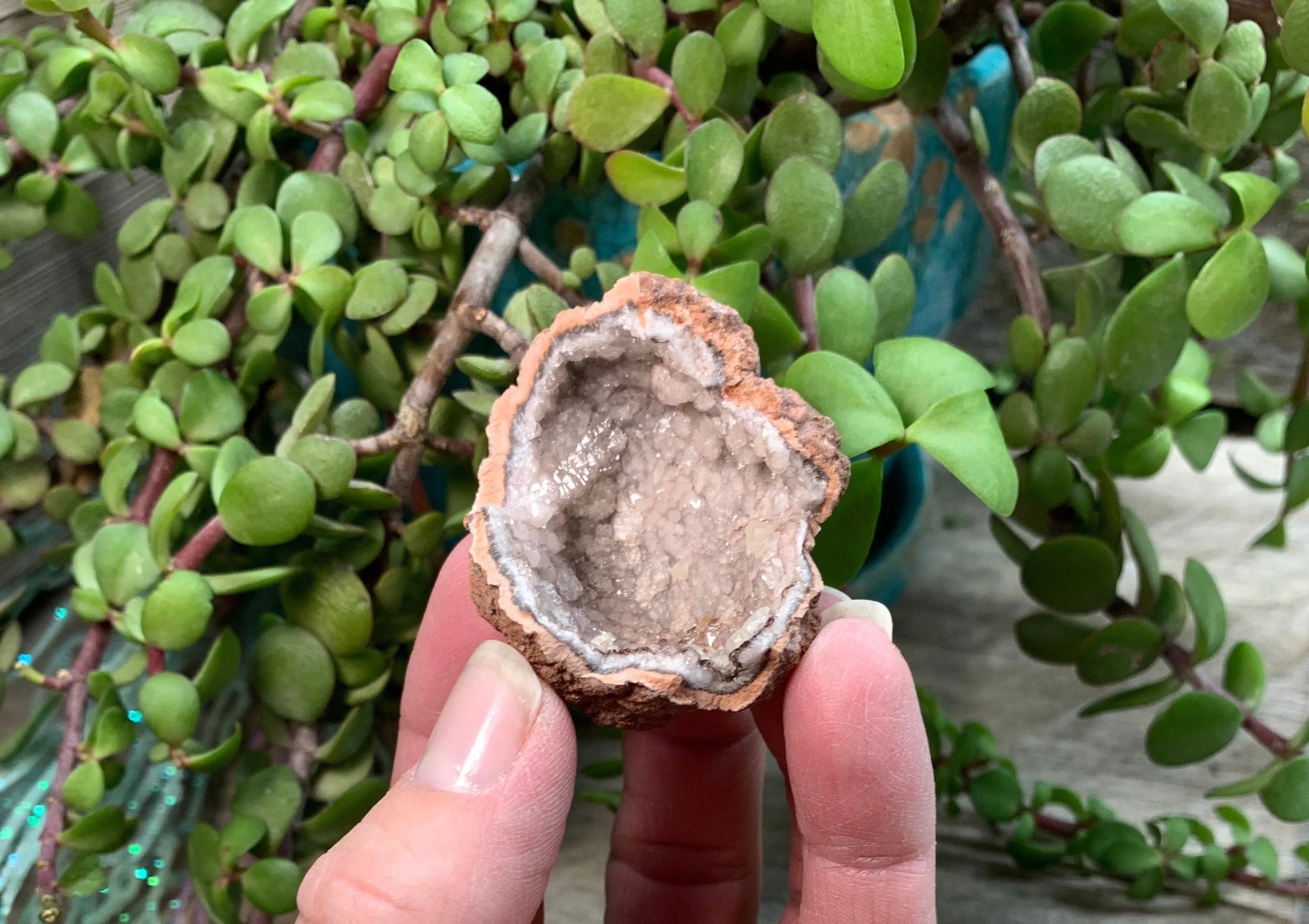 Pink Amethyst Geode  CRY-0867 Shop Wholesale Crystals