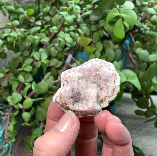 Pink Amethyst Geode  CRY-0868 Shop Wholesale Crystals