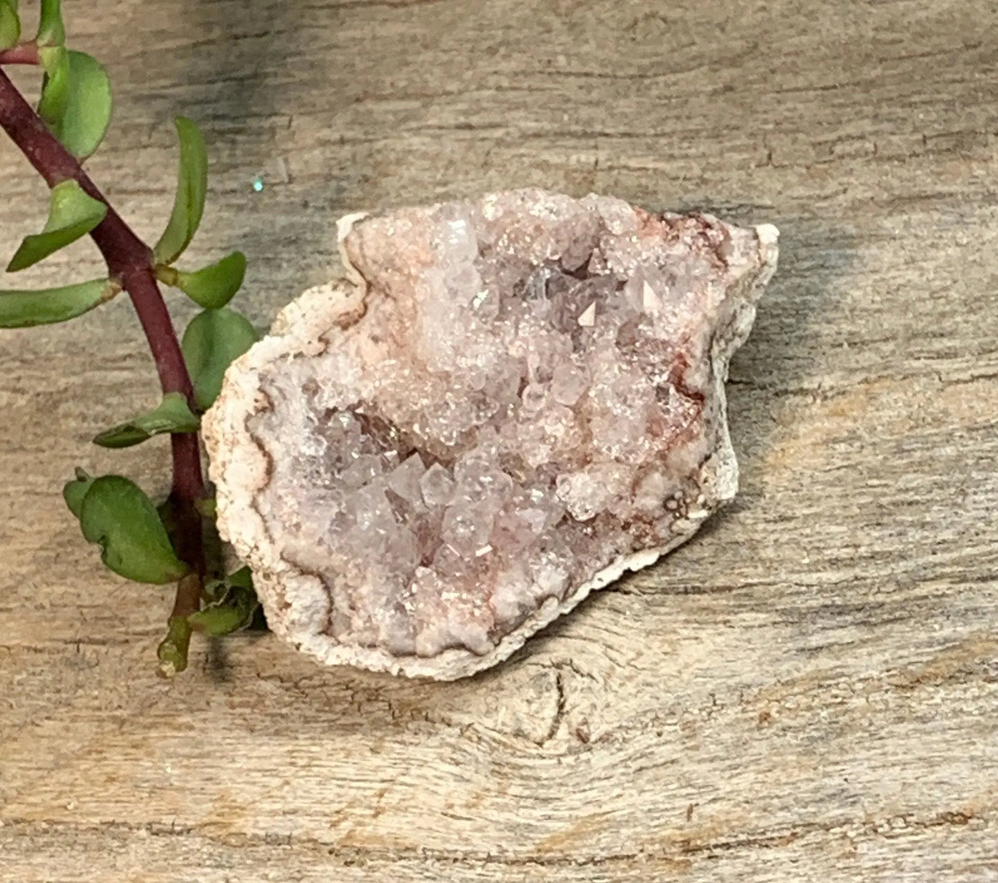 Pink Amethyst Geode  CRY-0868 Shop Wholesale Crystals
