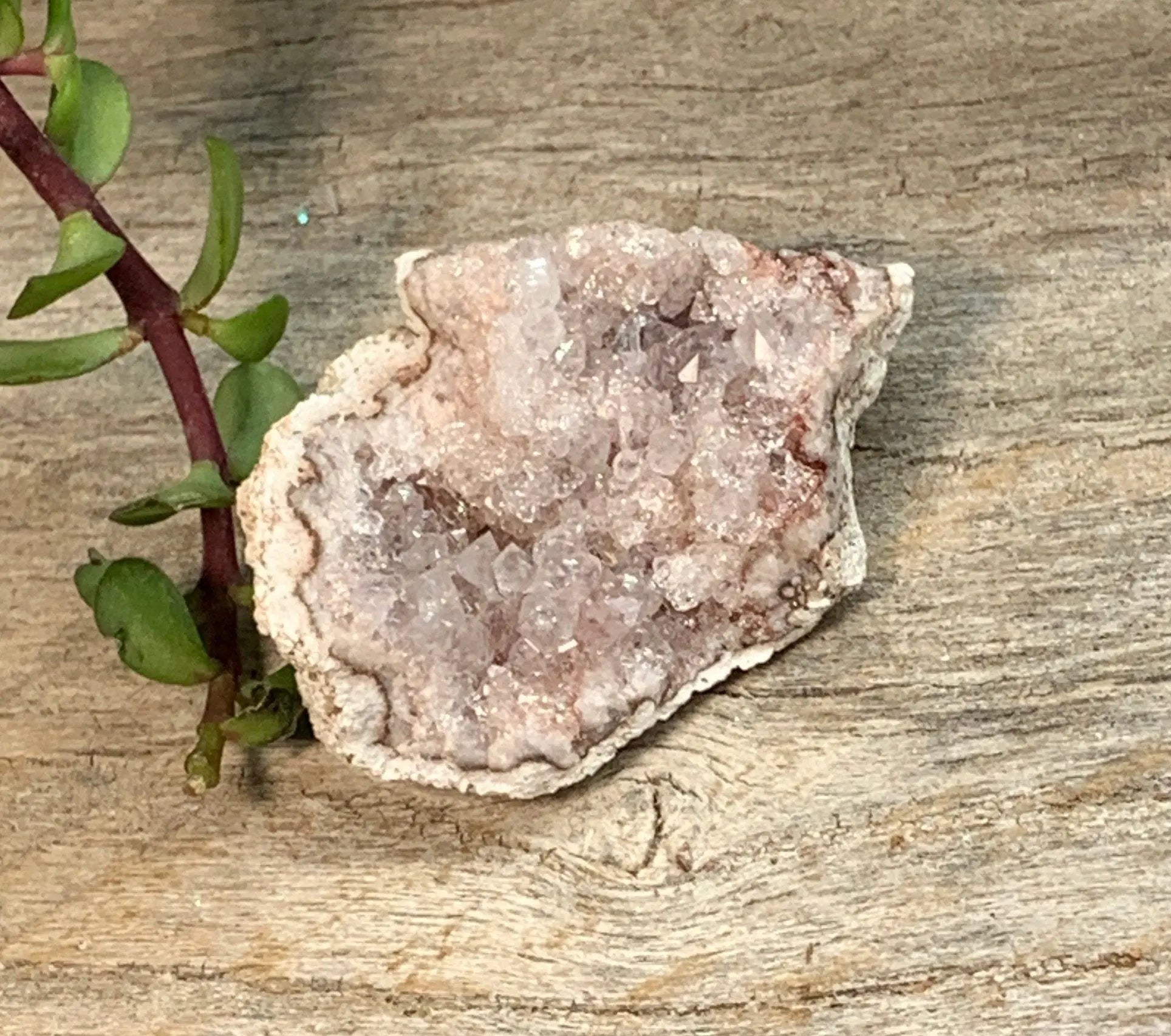 Pink Amethyst Geode  CRY-0868 Shop Wholesale Crystals