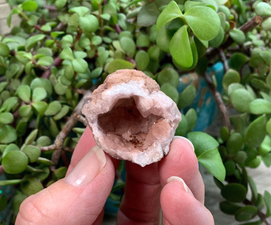 Pink Amethyst Geode  CRY-0871 Shop Wholesale Crystals