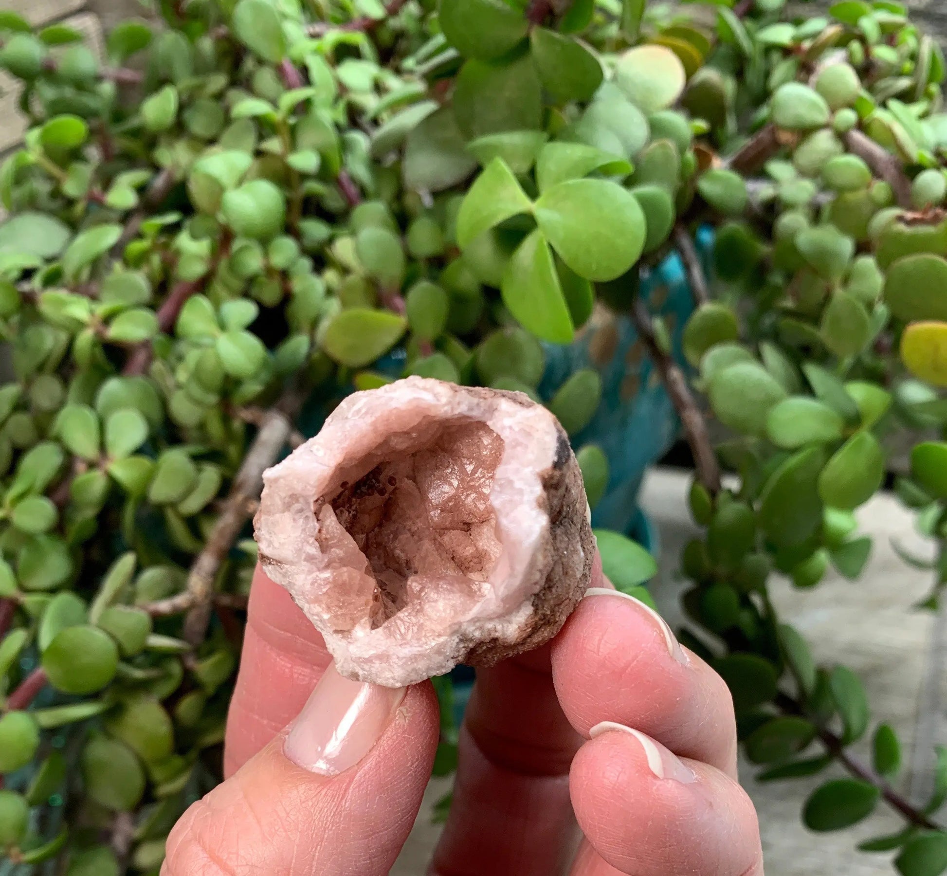 Pink Amethyst Geode  CRY-0871 Shop Wholesale Crystals