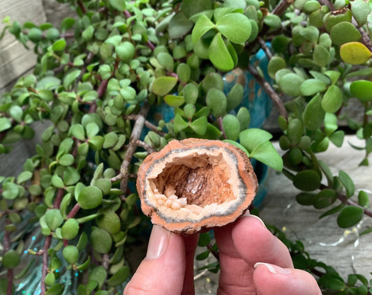 Pink Amethyst Geode  CRY-0873 Shop Wholesale Crystals