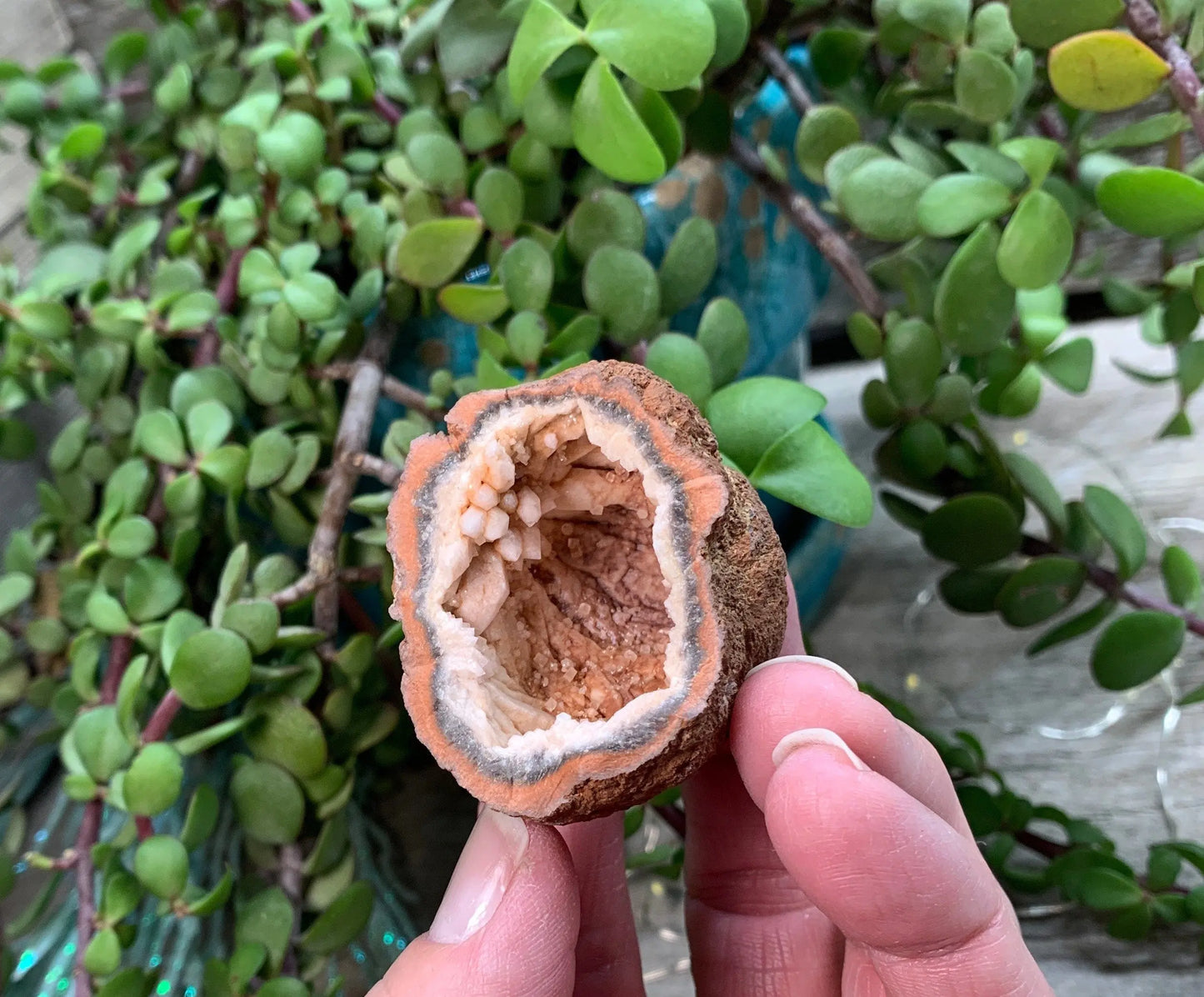 Pink Amethyst Geode  CRY-0873 Shop Wholesale Crystals