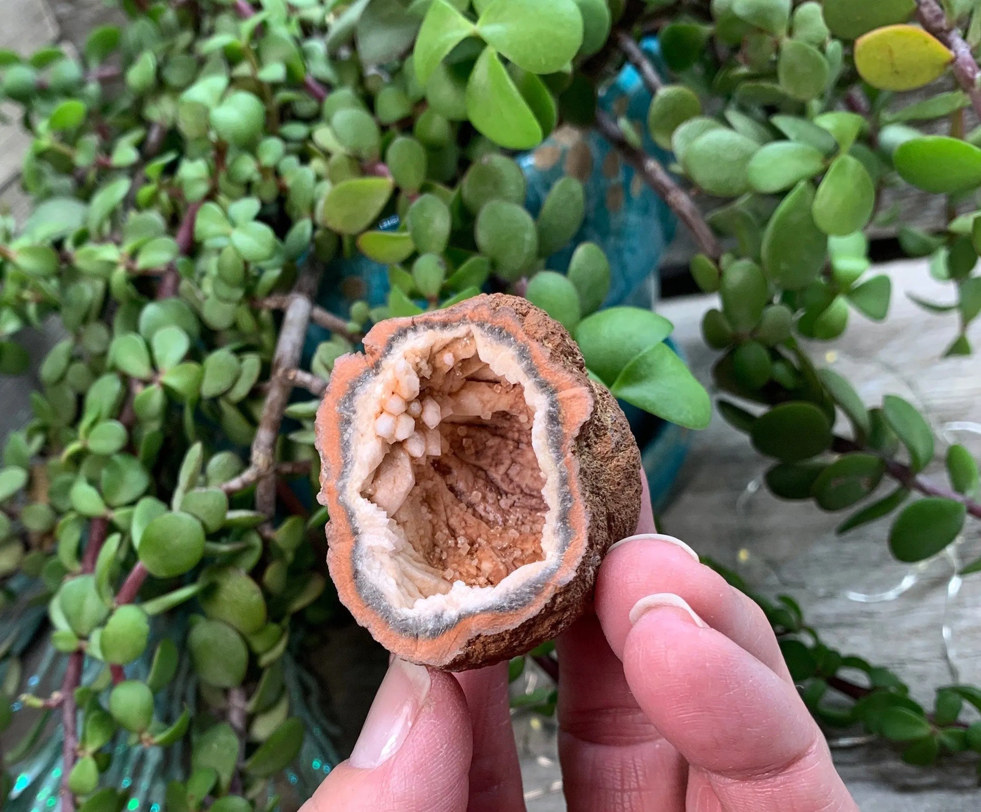 Pink Amethyst Geode  CRY-0873 Shop Wholesale Crystals