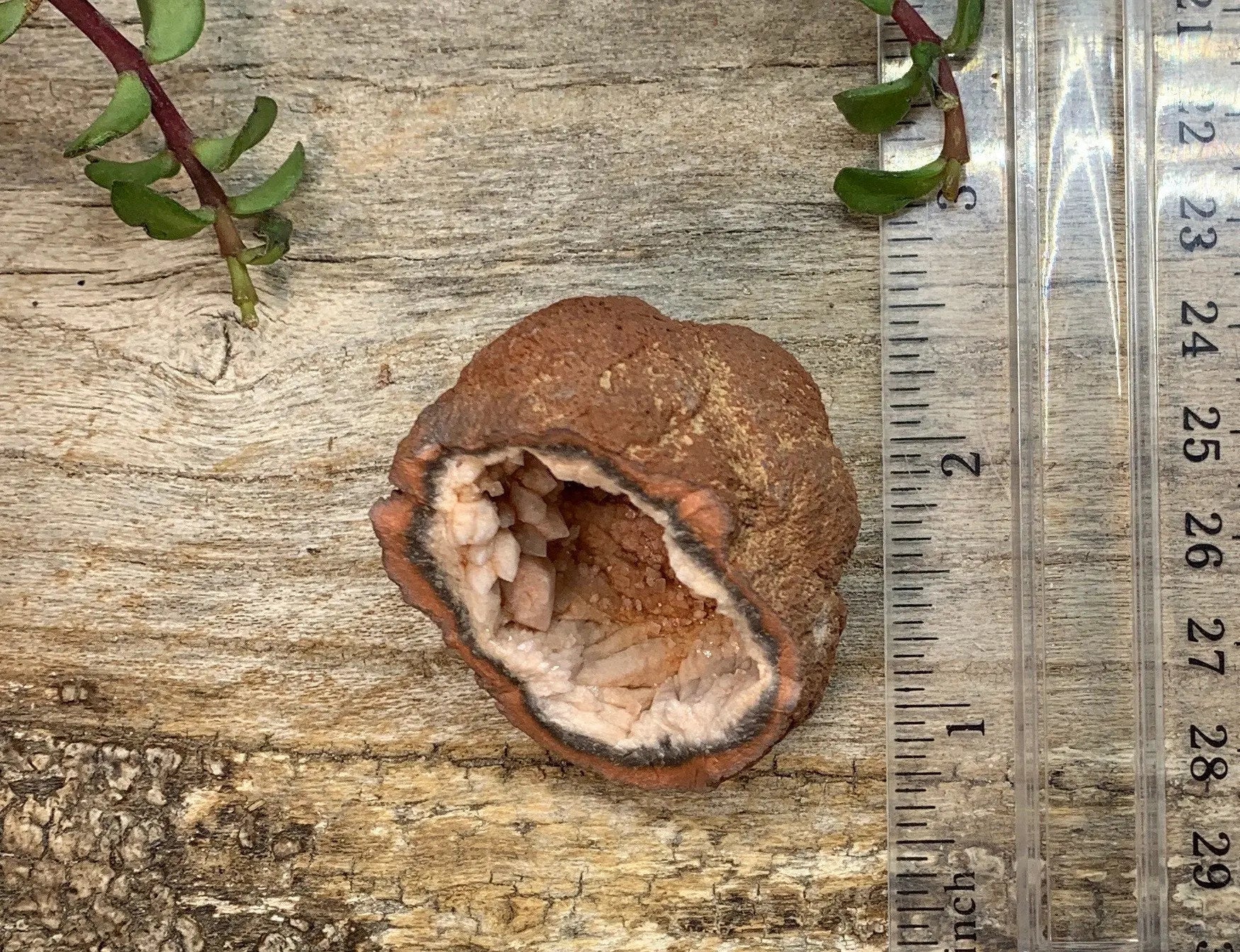Pink Amethyst Geode  CRY-0873 Shop Wholesale Crystals