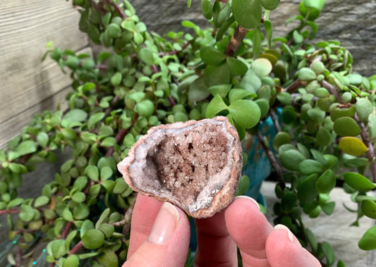 Pink Amethyst Geode  CRY-0862 Shop Wholesale Crystals