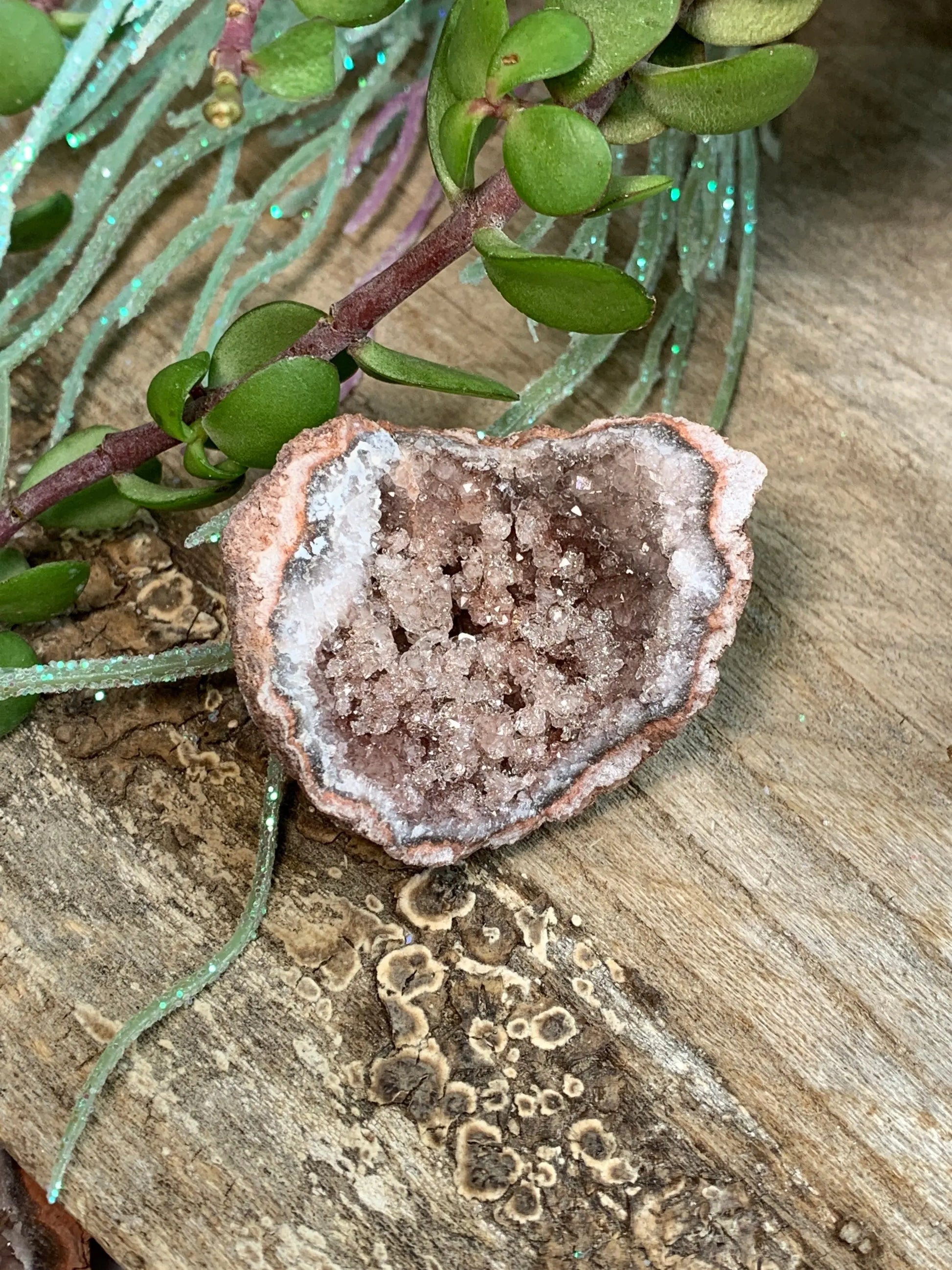Pink Amethyst Geode  CRY-0862 Shop Wholesale Crystals
