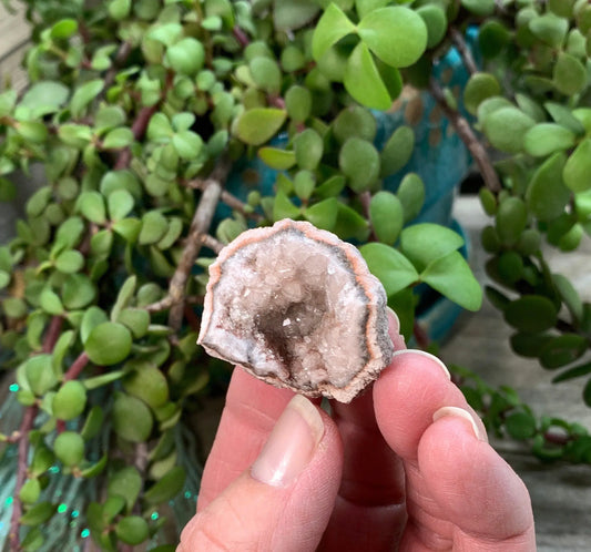 Pink Amethyst Geode  CRY-0863 Shop Wholesale Crystals