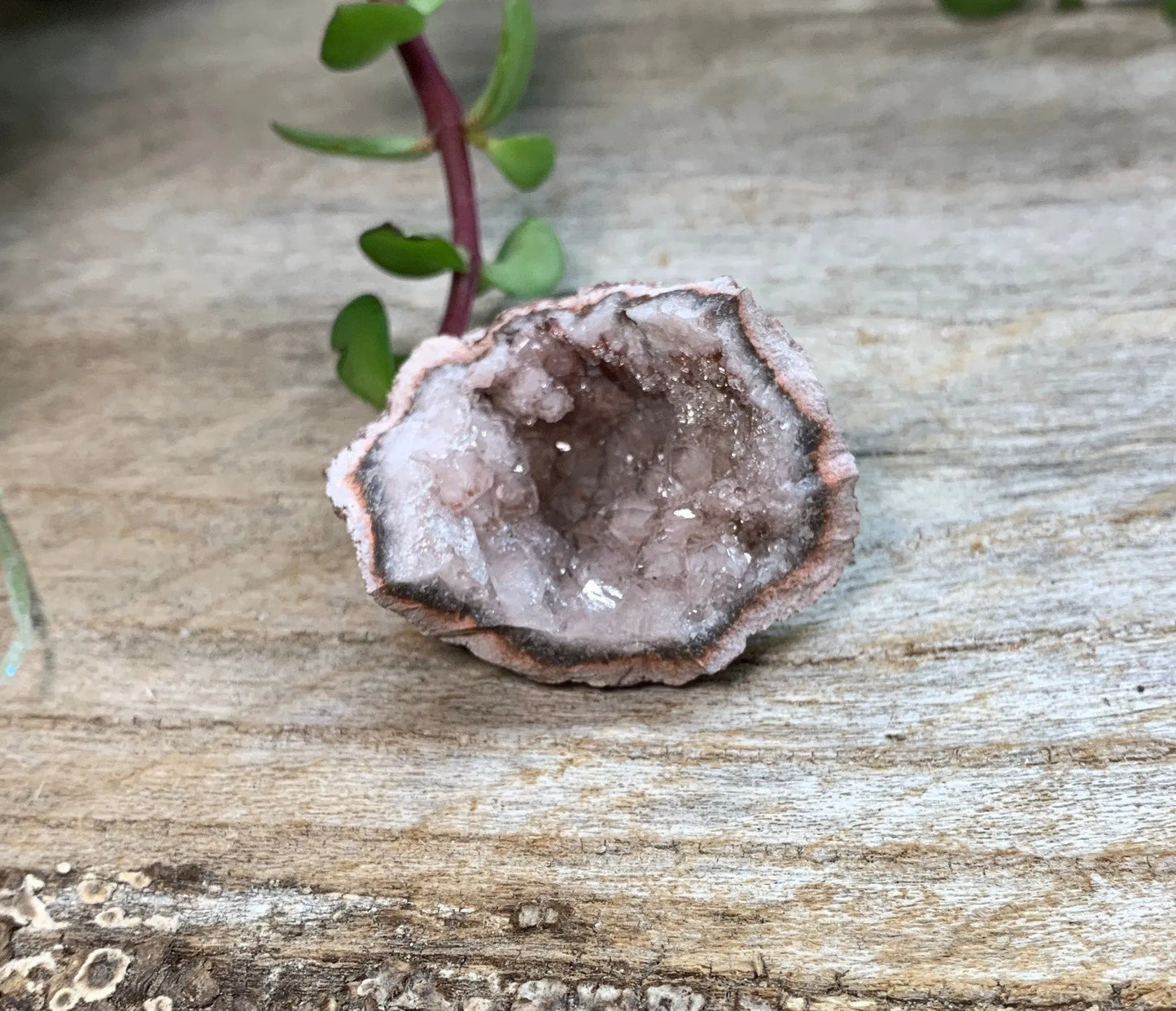 Pink Amethyst Geode  CRY-0863 Shop Wholesale Crystals