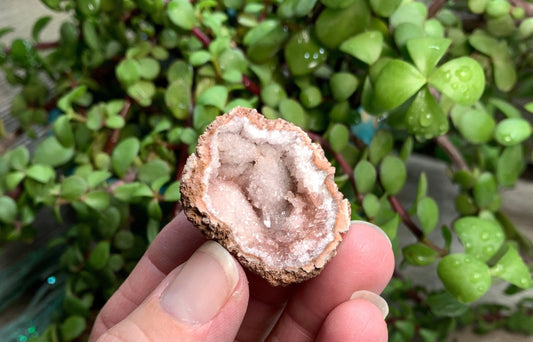 Pink Amethyst Geode  CRY-0817 Shop Wholesale Crystals