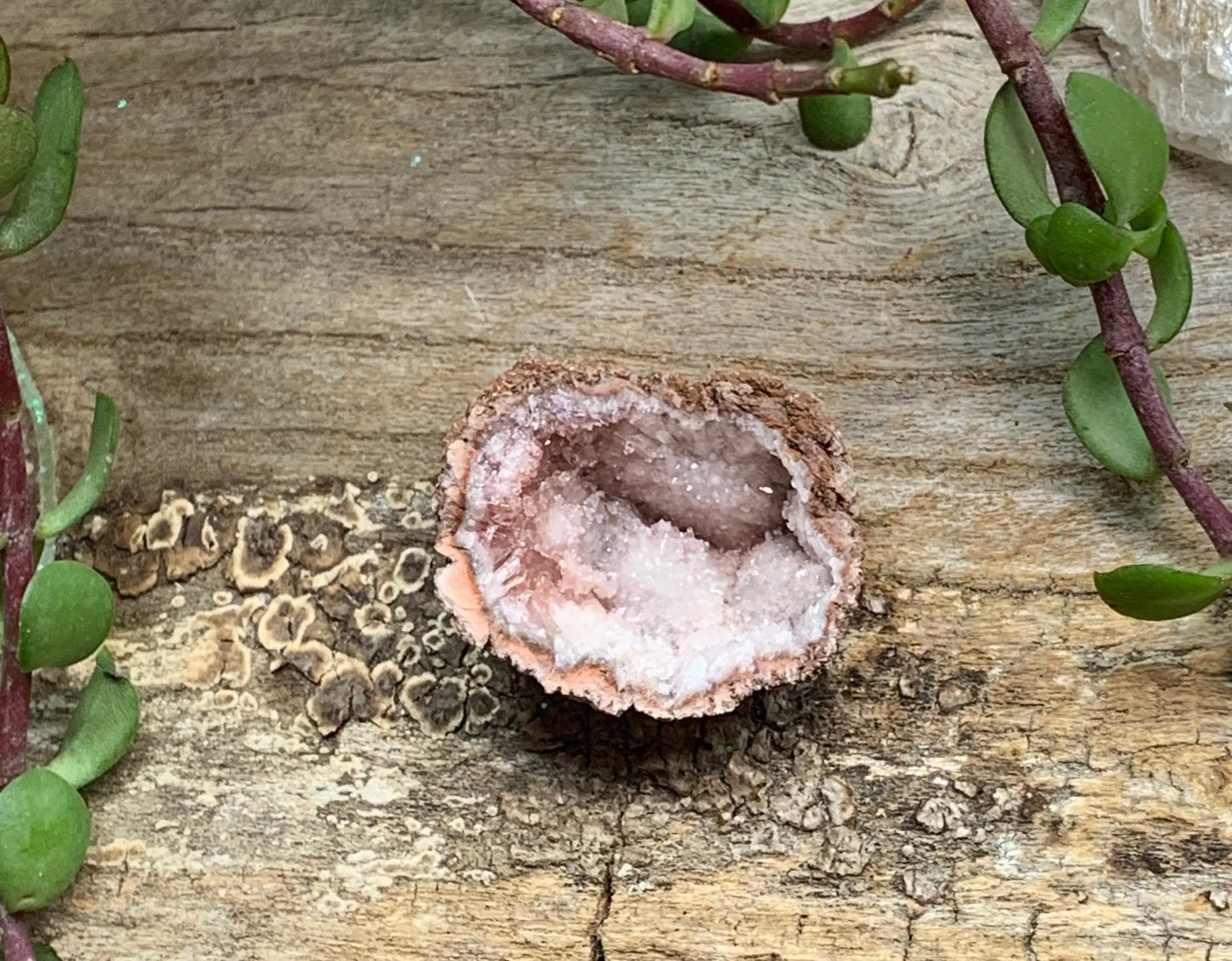 Pink Amethyst Geode  CRY-0817 Shop Wholesale Crystals