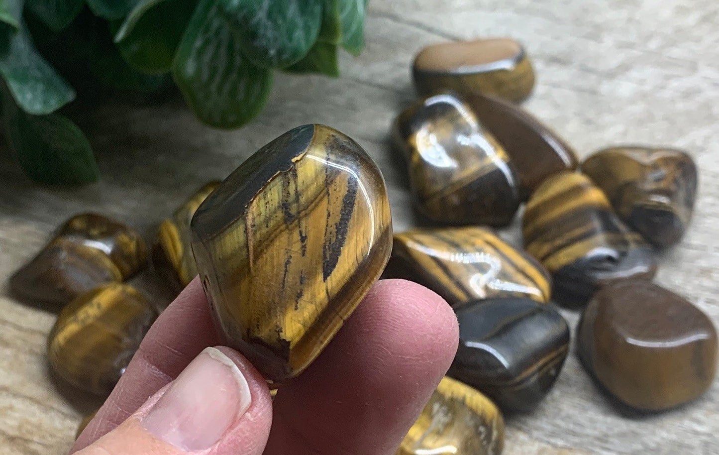 Tiger's Eye Polished Tumbled Stone Large  (Approx. 3/4” -  1") BIN-1413