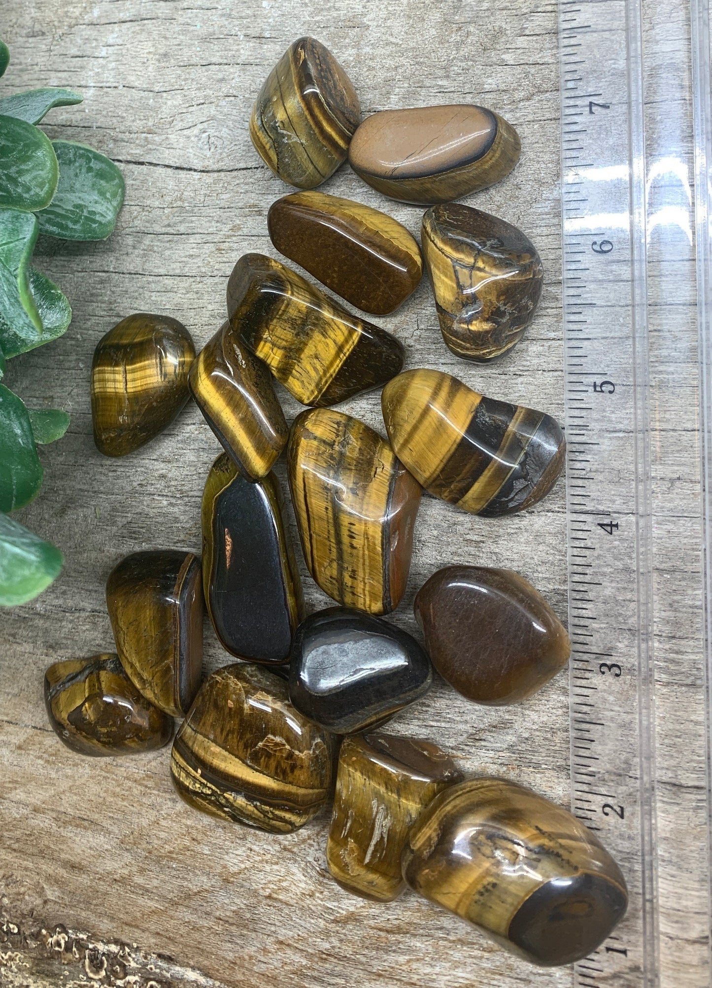 Tiger's Eye Polished Tumbled Stone Large  (Approx. 3/4” -  1") BIN-1413