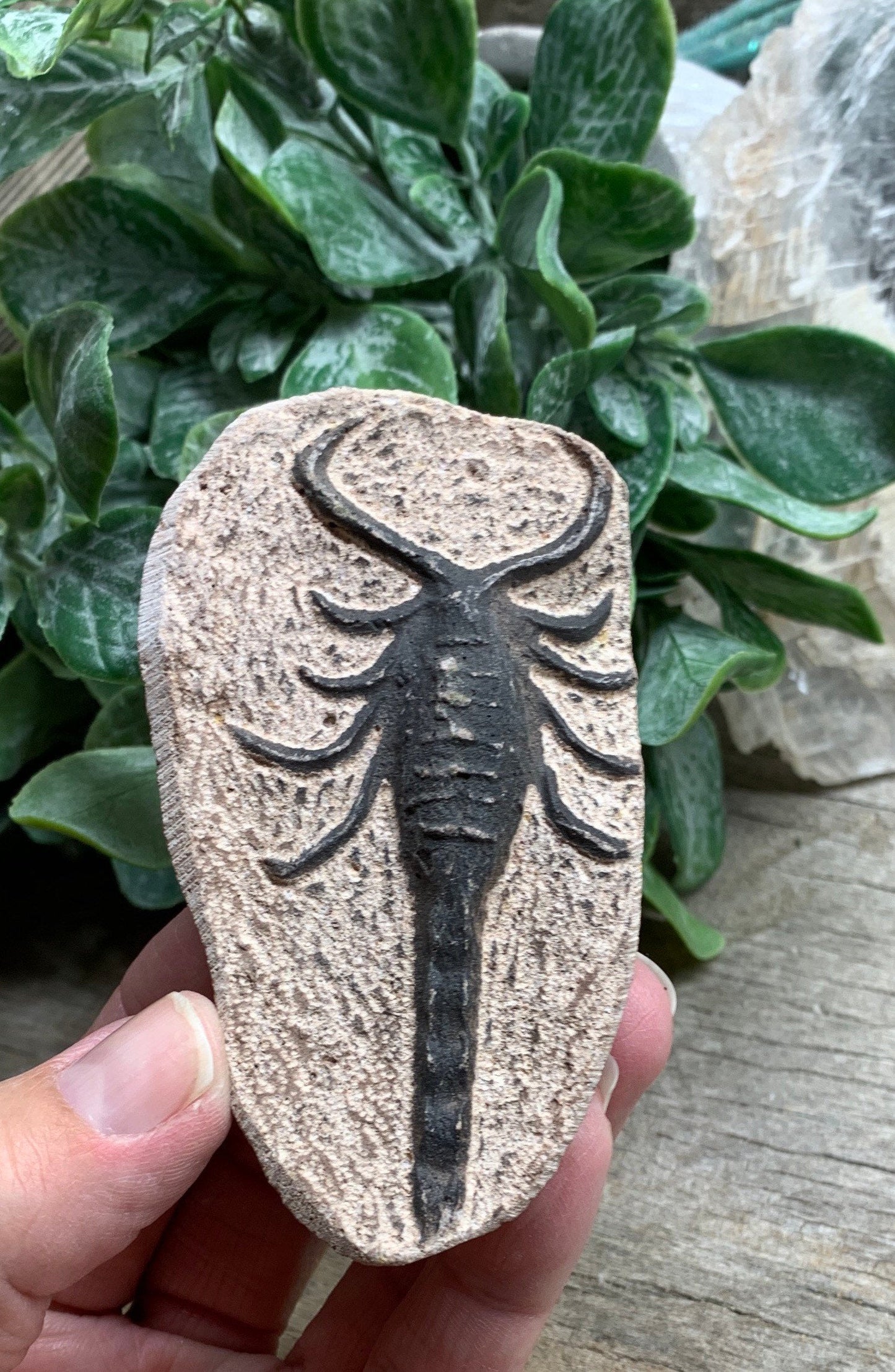 Scorpion Fossil Replica, Carving FRE-0335