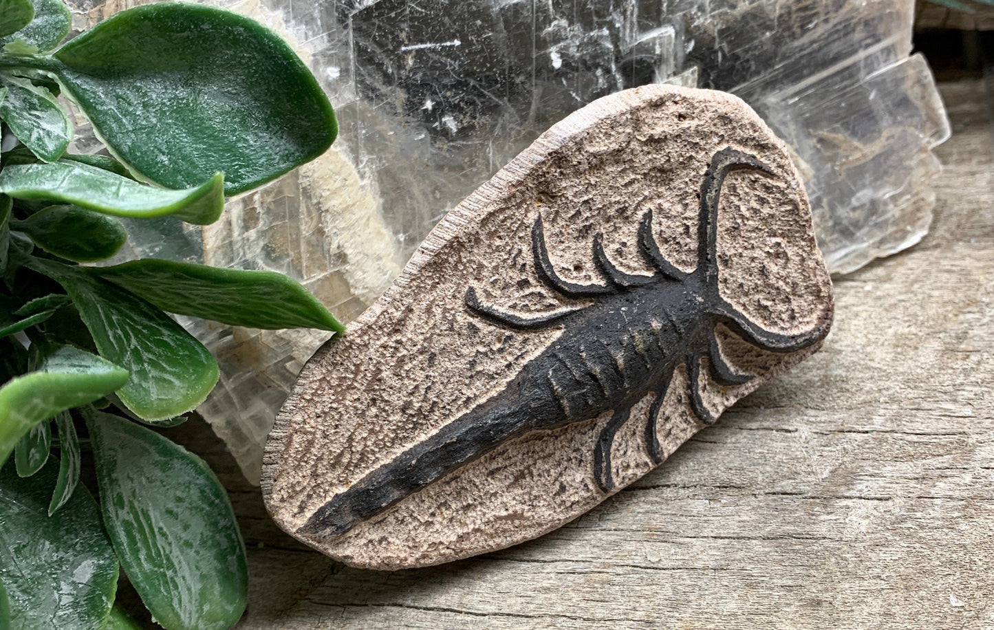 Scorpion Fossil Replica, Carving FRE-0335