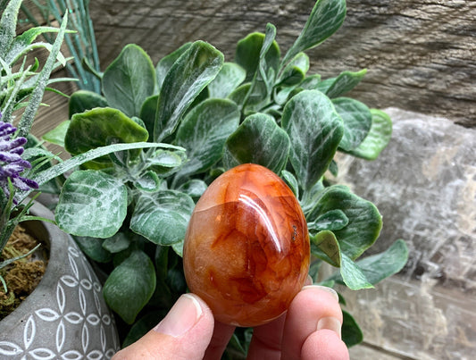 Carnelian Agate Egg FRE-0311