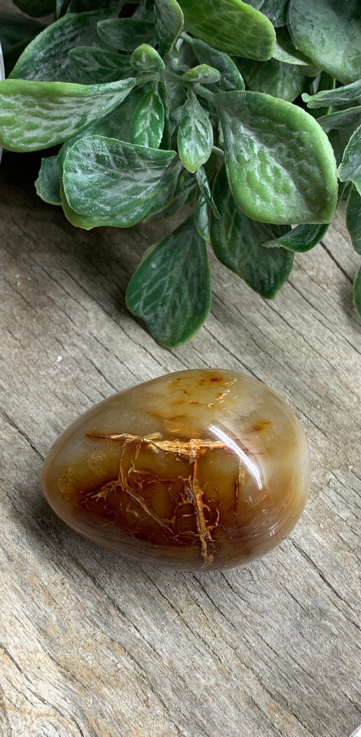 Carnelian Agate Egg FRE-0315