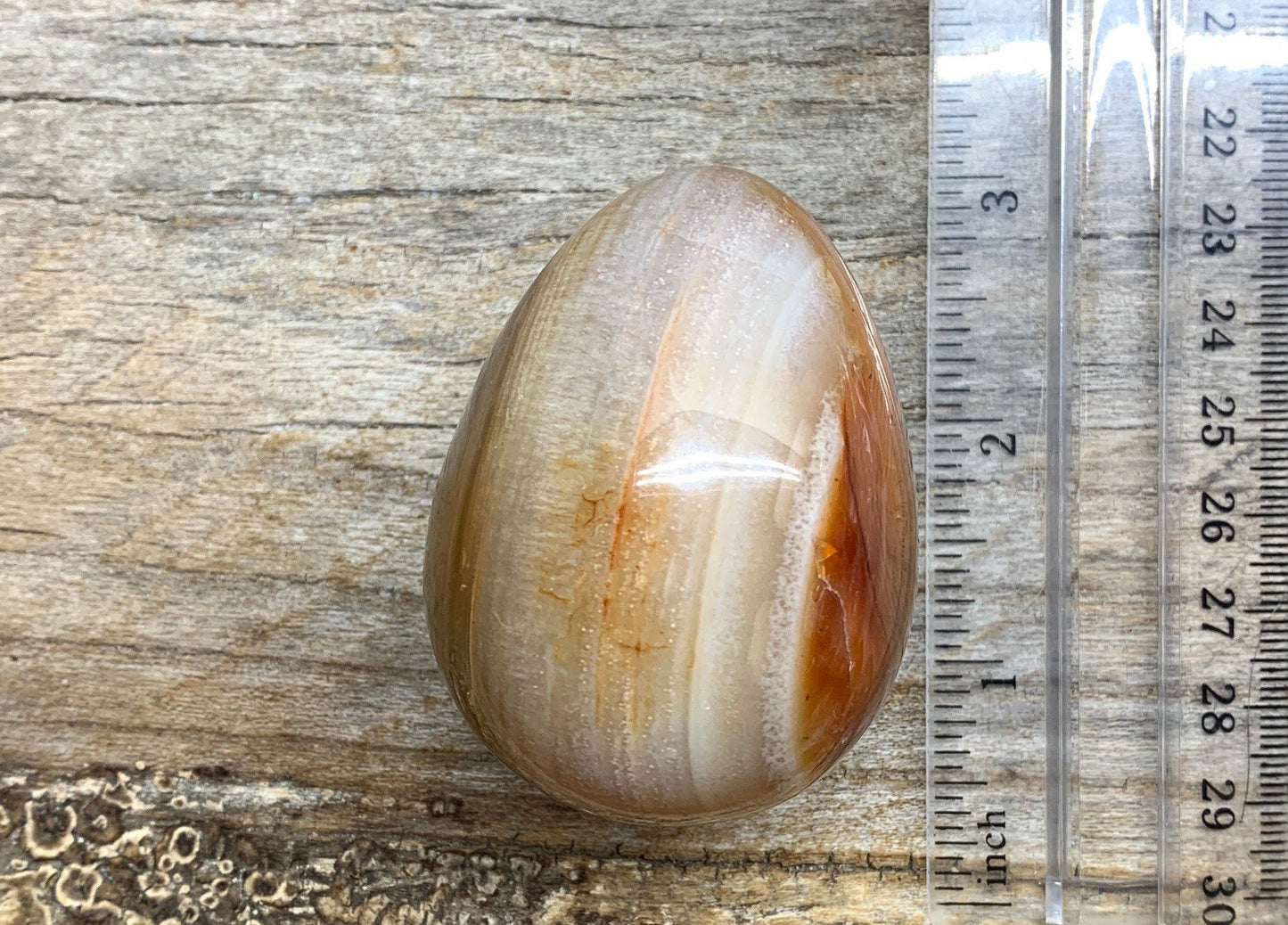 Carnelian Agate Egg FRE-0315