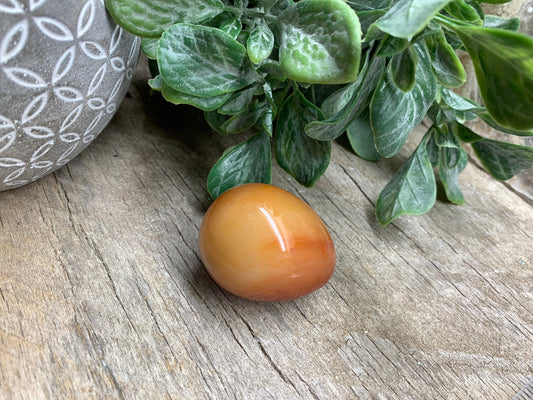 Carnelian Agate Egg FRE-0314