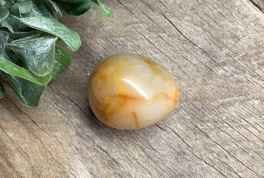 Carnelian Agate Egg FRE-0318